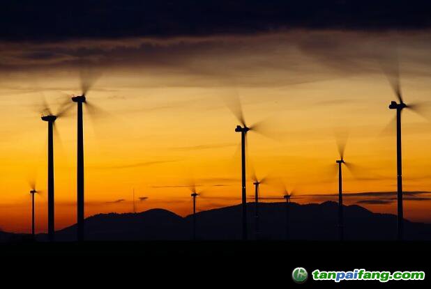 The Forest Carbon Partnership Facility (FCPF)項目減排量機(jī)制標(biāo)準(zhǔn)