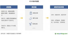 2022 年中國碳捕集、利用與封存（CCUS）洞察報告