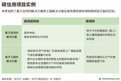 企業(yè)領(lǐng)導(dǎo)者為什么必須了解碳信用額？